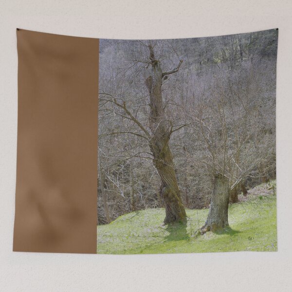 Item preview, 2014 Albero che ricresce designed and sold by robertoferrero.