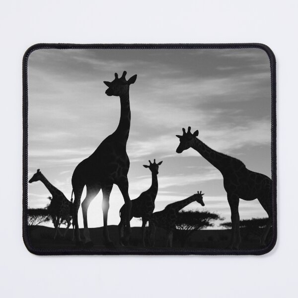 Item preview, Giraffes in the evening sun designed and sold by OldProgger.