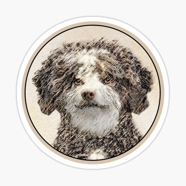 Pegatinas: Perro De Agua Espa%c3%b1ol