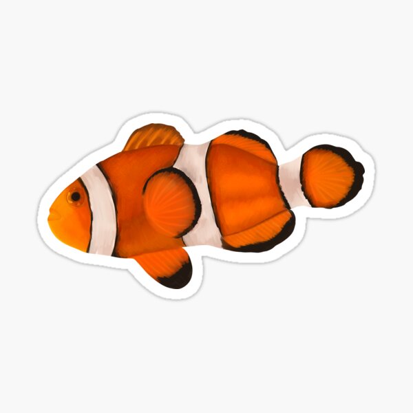 Item preview, Clownfish designed and sold by lauriiebirdiie.