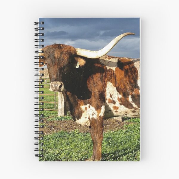 Item preview, Longhorn in the Bullpen designed and sold by HoustonPhatz.