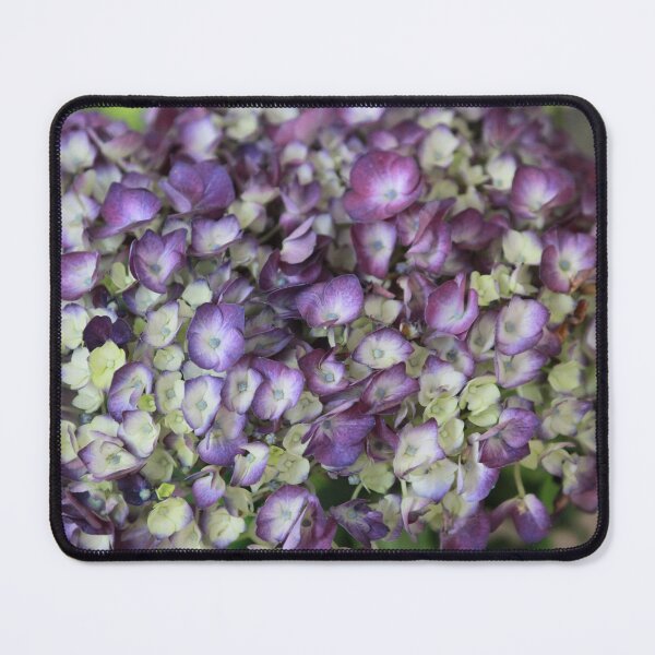 Item preview, Purple & Green Hydrangeas designed and sold by Patti Melfi.
