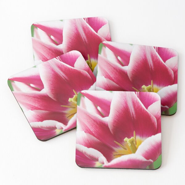 Item preview, Tulipa  'Ballade'  AGM  Tulip  Lily-flowered Group  April designed and sold by Chris Burrows.