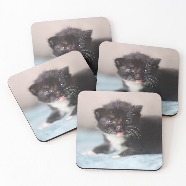 Item preview, Tiny meows designed and sold by GreyFeatherPhot.