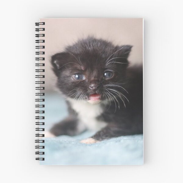 Item preview, Tiny meows designed and sold by GreyFeatherPhot.