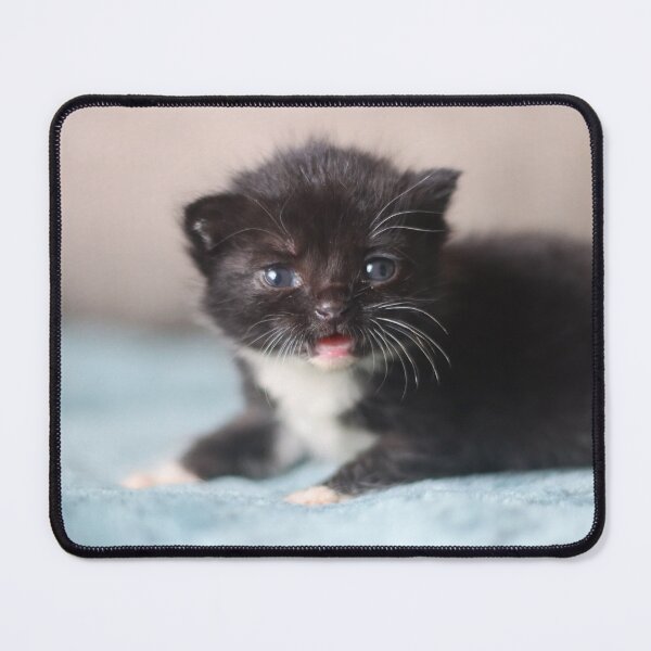 Item preview, Tiny meows designed and sold by GreyFeatherPhot.