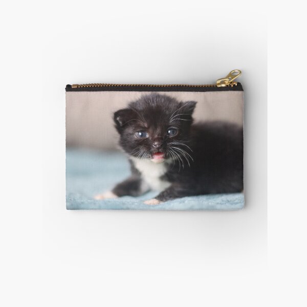 Item preview, Tiny meows designed and sold by GreyFeatherPhot.