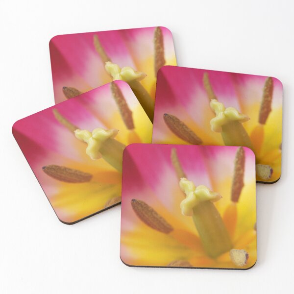 Item preview, Tulipa 'Ballade' AGM Tulip Lily-flowered Group April designed and sold by Chris Burrows.