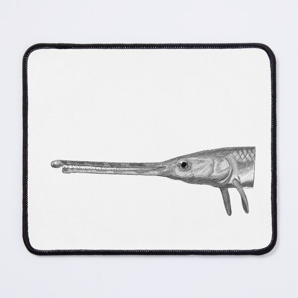 Item preview, Longnose Gar (Lepisosteus osseus) designed and sold by Val Thompson.