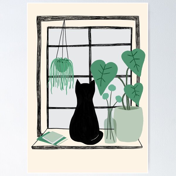 Black cat in window Poster