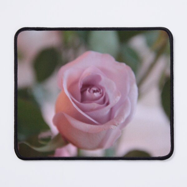 Item preview, Lavender Rose designed and sold by Patti Melfi.