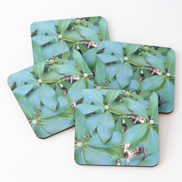 Item preview, Three Rhododendron Buds Waiting designed and sold by gistinker.