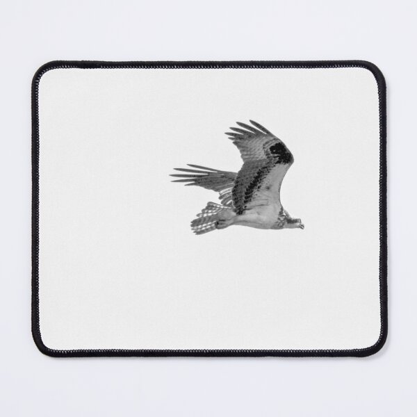 Item preview, Monochrome Osprey designed and sold by Patti Melfi.