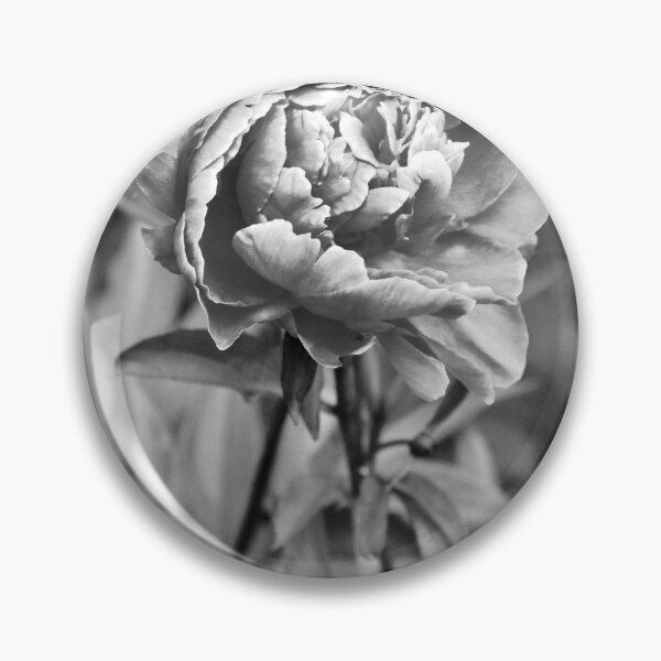 Item preview, Peony shades designed and sold by Patti Melfi.