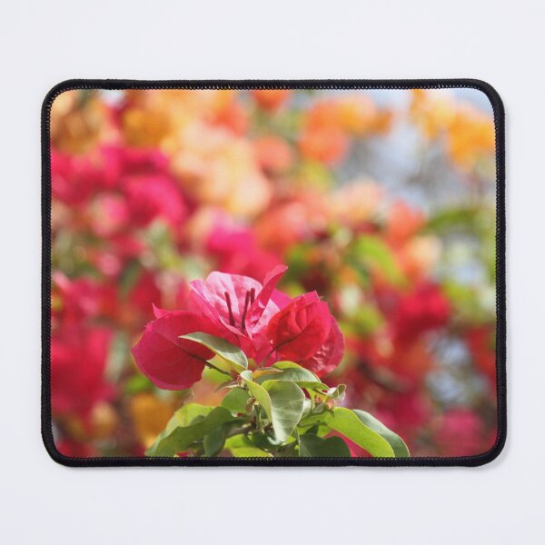 Item preview, Bougainvillea Shades designed and sold by Patti Melfi.