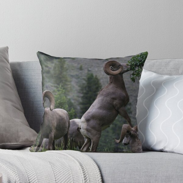 Item preview, Alcanzando el almuerzo designed and sold by timdaytimages.
