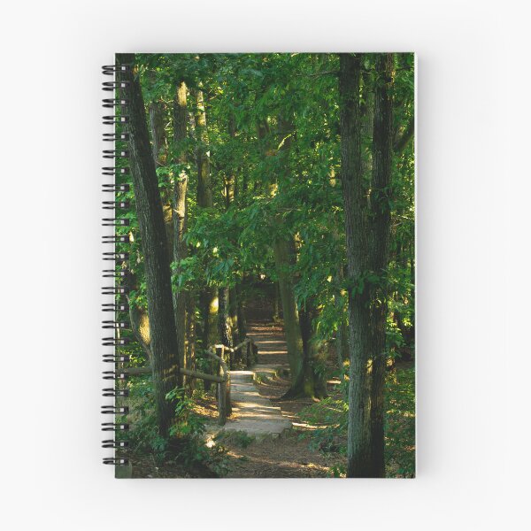 Item preview, The road through the forest to Strzeleckie Hill designed and sold by TheTwoWorlds.