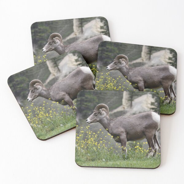 Item preview, Acting Sheepish designed and sold by timdaytimages.