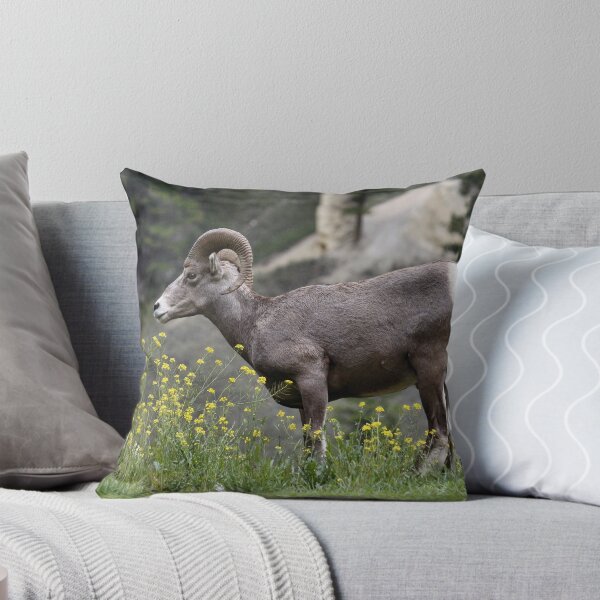 Item preview, Actuando avergonzado designed and sold by timdaytimages.