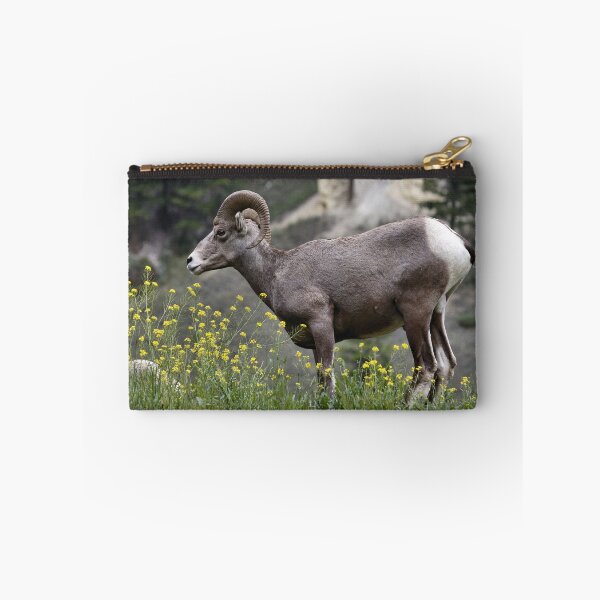 Item preview, Acting Sheepish designed and sold by timdaytimages.