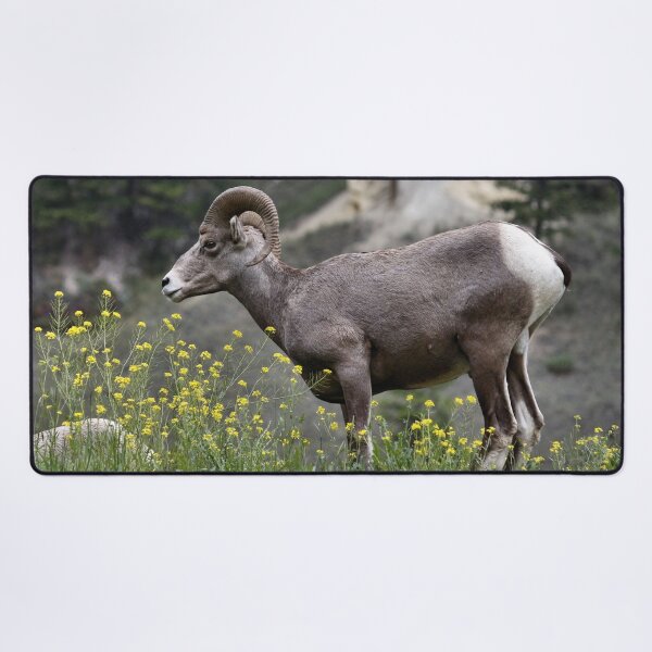 Item preview, Acting Sheepish designed and sold by timdaytimages.