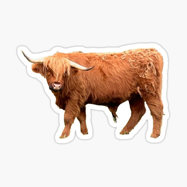 Loch Ness Highland Coo Sticker