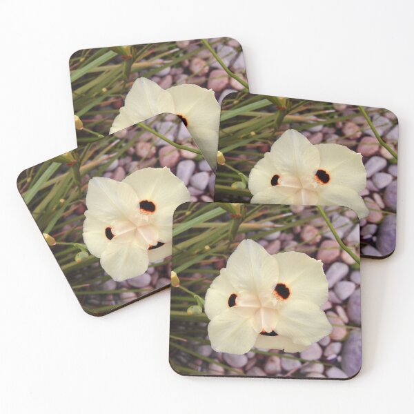 Item preview, African Fortnight Lily with background designed and sold by Dev-Crayon.