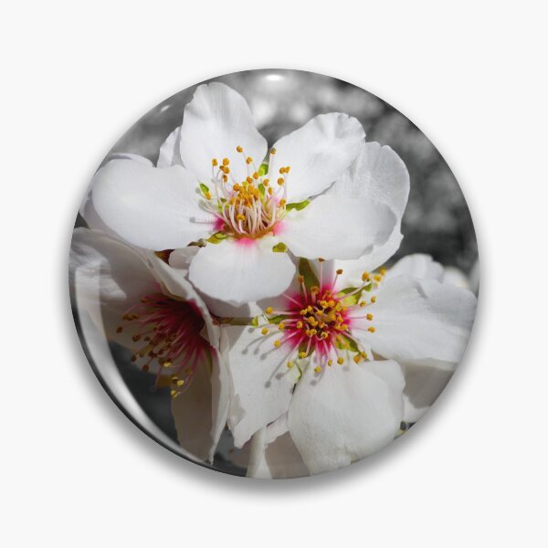 Item preview, Color Almond Blossoms With Gray Background designed and sold by karinasalwaszka.