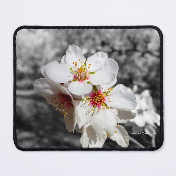 Item preview, Color Almond Blossoms With Gray Background designed and sold by karinasalwaszka.