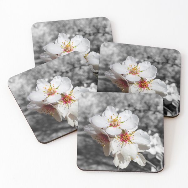 Item preview, Color Almond Blossoms With Gray Background designed and sold by karinasalwaszka.