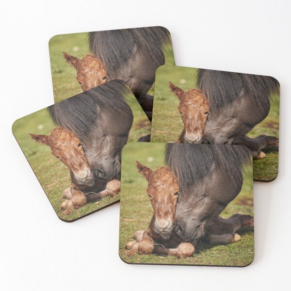 Item preview, The first cuddle designed and sold by elisainiceland.