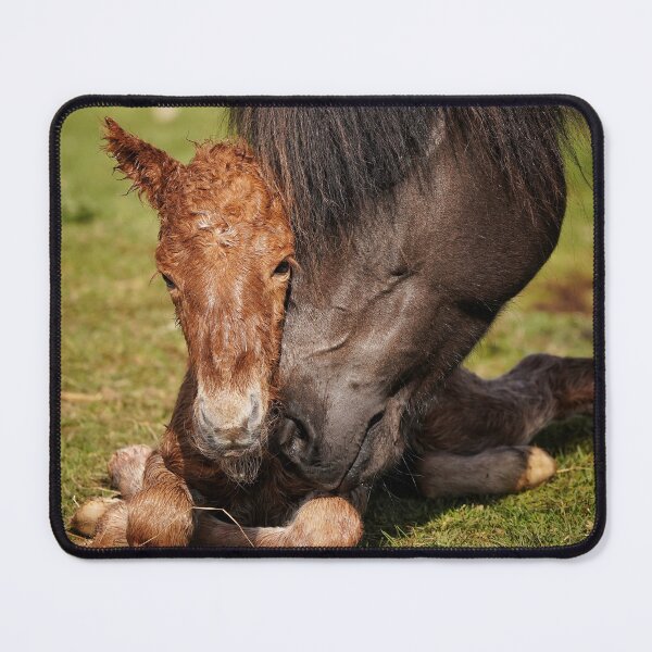 Item preview, The first cuddle designed and sold by elisainiceland.