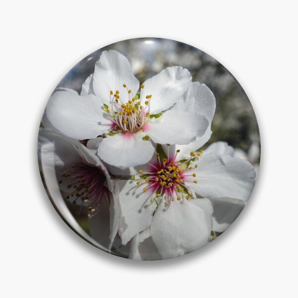 Item preview, Almond Blossoms  designed and sold by karinasalwaszka.