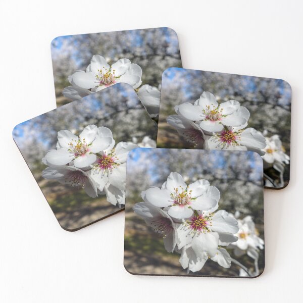 Item preview, Almond Blossoms  designed and sold by karinasalwaszka.