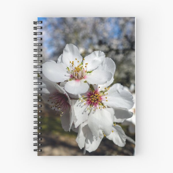Item preview, Almond Blossoms  designed and sold by karinasalwaszka.