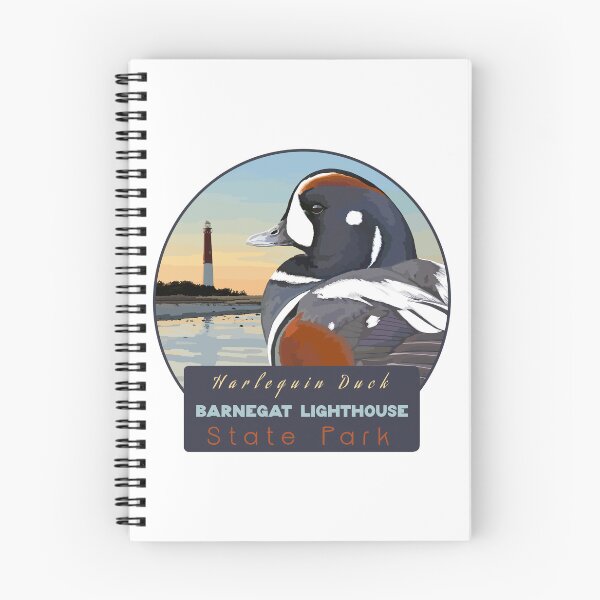 Item preview, Birds and Parks: Barnegat Lighthouse State Park/Harlequin Duck designed and sold by LauraWolfArtist.