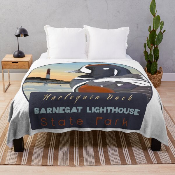 Item preview, Birds and Parks: Barnegat Lighthouse State Park/Harlequin Duck designed and sold by LauraWolfArtist.