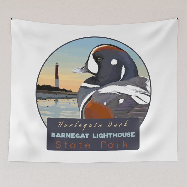 Item preview, Birds and Parks: Barnegat Lighthouse State Park/Harlequin Duck designed and sold by LauraWolfArtist.