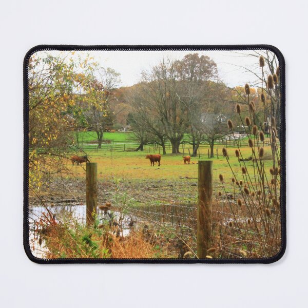 Item preview, How Now, Brown Cow?  (Chester County, Pennsylvania Cows in green pastures) designed and sold by Patti Melfi.