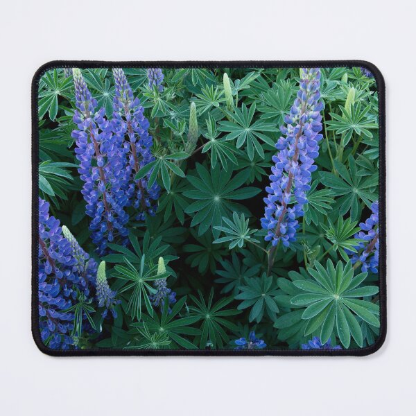 Item preview, The Love of Lupins designed and sold by Barbara Burkhardt.