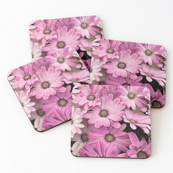 Item preview, Pink and white osteospermum flowers designed and sold by Dev-Crayon.