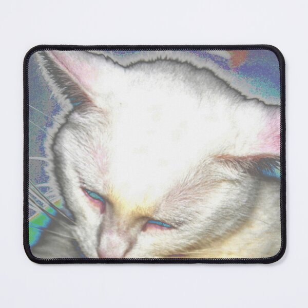 Item preview, Spooky Yoda cat designed and sold by B. Randi Bailey.