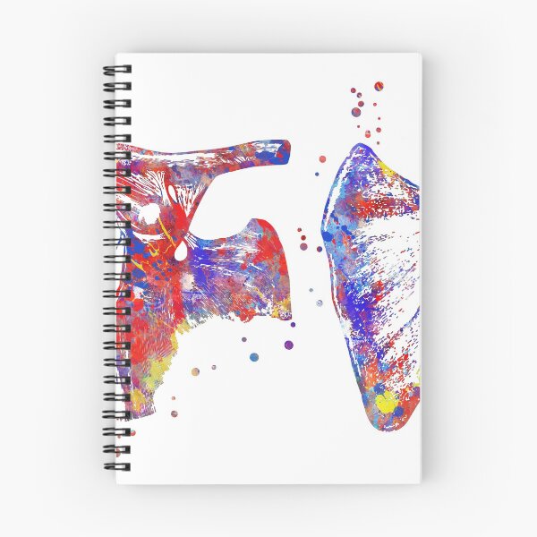 Item preview, Scapula and Clavicle, anatomy art, watercolor scapula and clavicle designed and sold by Rosaliartbook.