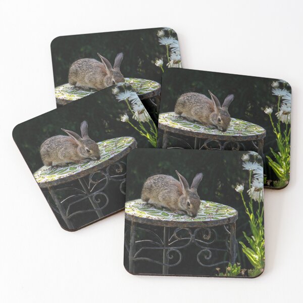 Item preview, Bunny Eating Bird Seeds! designed and sold by heatherfriedman.