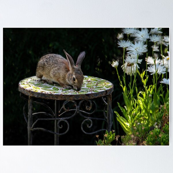 Item preview, Bunny Eating Bird Seeds! designed and sold by heatherfriedman.