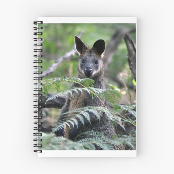 Item preview, Swamp Wallaby amongst Ferns designed and sold by Kathie Thomas.