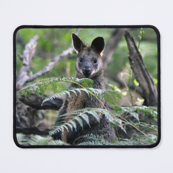 Item preview, Swamp Wallaby amongst Ferns designed and sold by Kathie Thomas.