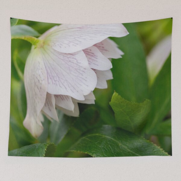 Item preview, Growing rose designed and sold by KellyRHarding.