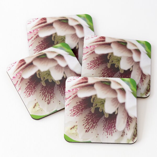 Item preview, inside a helleborus orientalis designed and sold by KellyRHarding.