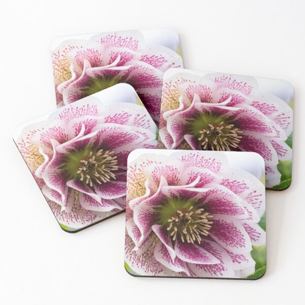 Item preview, Lenten rose designed and sold by KellyRHarding.